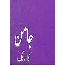 Jaman Ka Rang Urdu by Amana Hasnain