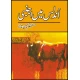 Undlus Main Ajnabi by Mustansar Hussain Tarar