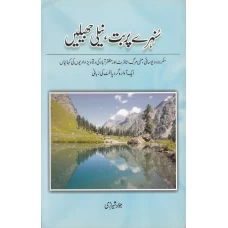 Sonahri Parbat Neeli Jehln  by Jawad Sherazi