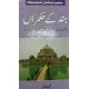 Hind Kay Hukmaran Bar E Sageer Pak O HInd KAy Namor Aur Qabil E Hukmarano Kay Halat by Kaleem Chugtai